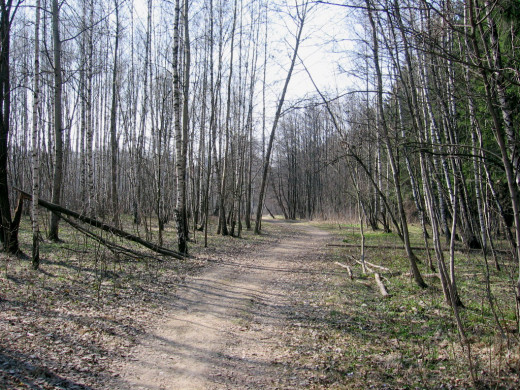 23940 (a): :1024x768